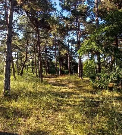 Apartment уютные 2-х комнатные Pomorie